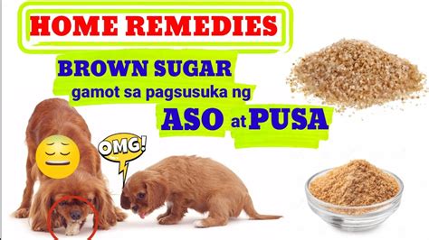 Home Remedy at Herbal na Gamot sa Pagsusuka.